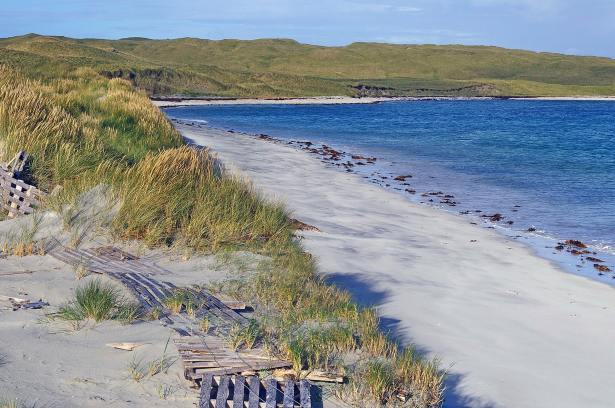 andrew-buchanan-xyl-uovEWR4-unsplash