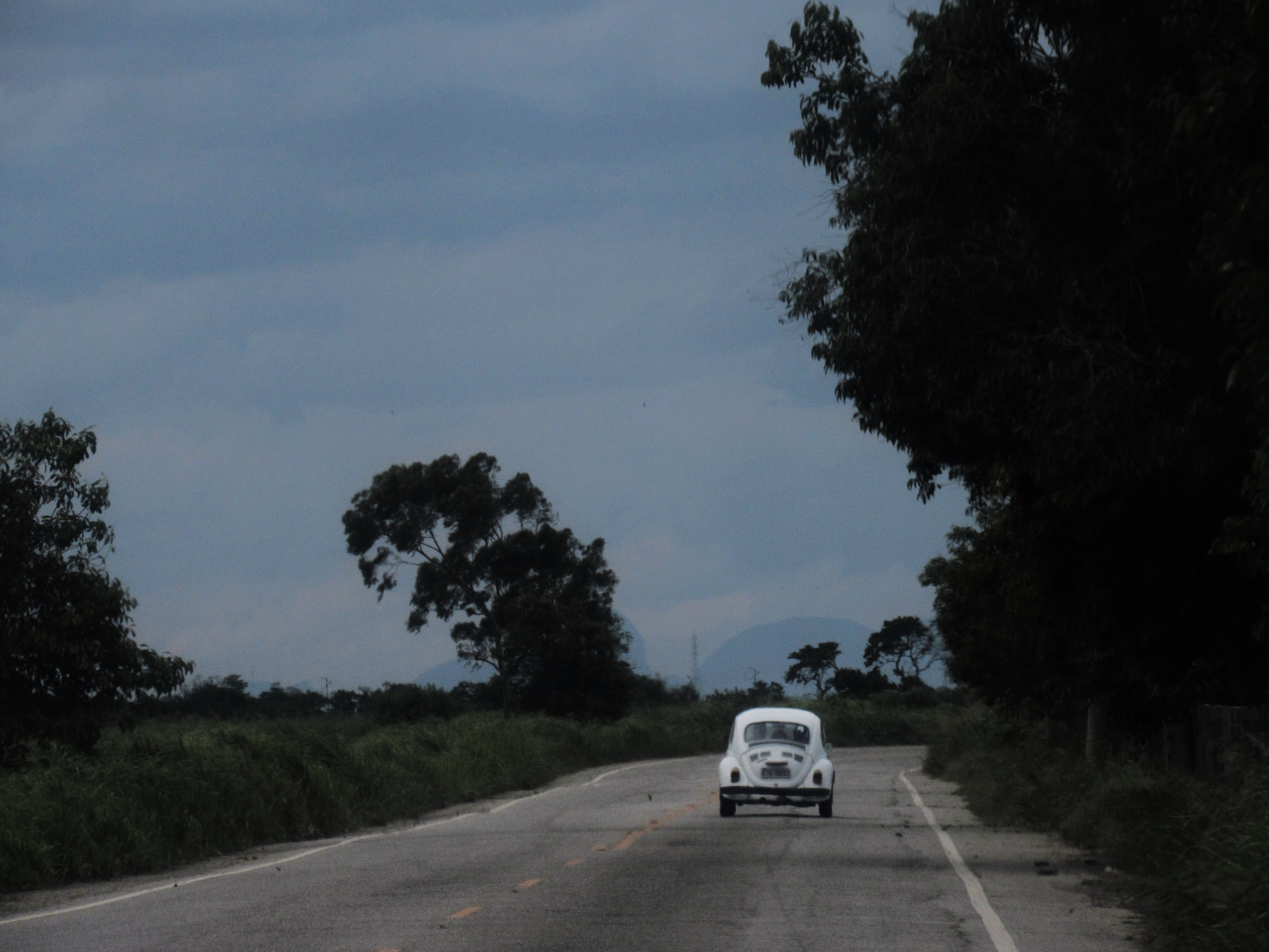 thais-ribeiro-rgrfJPE6Yjo-unsplash