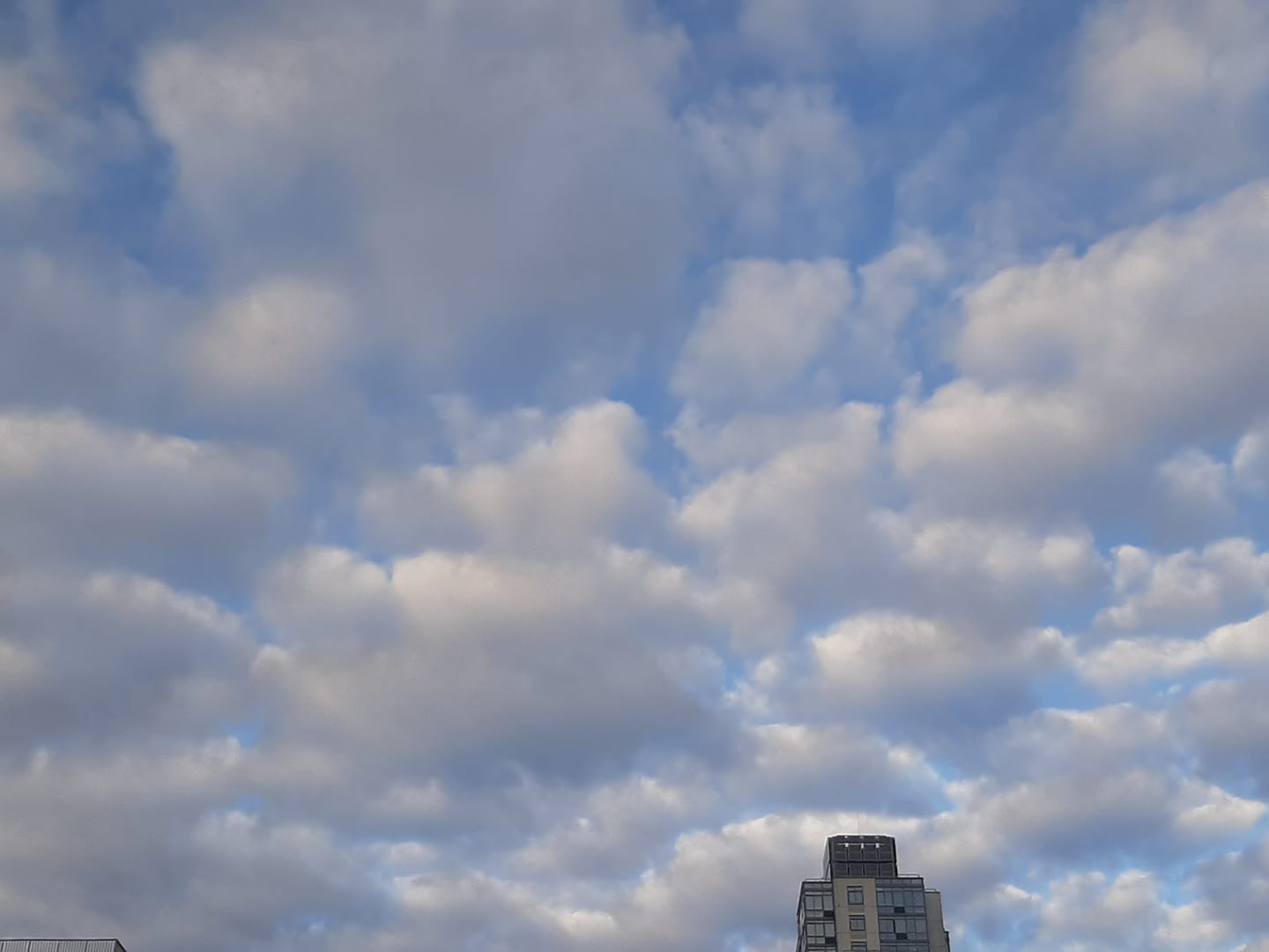 Looking up NaamaYehuda