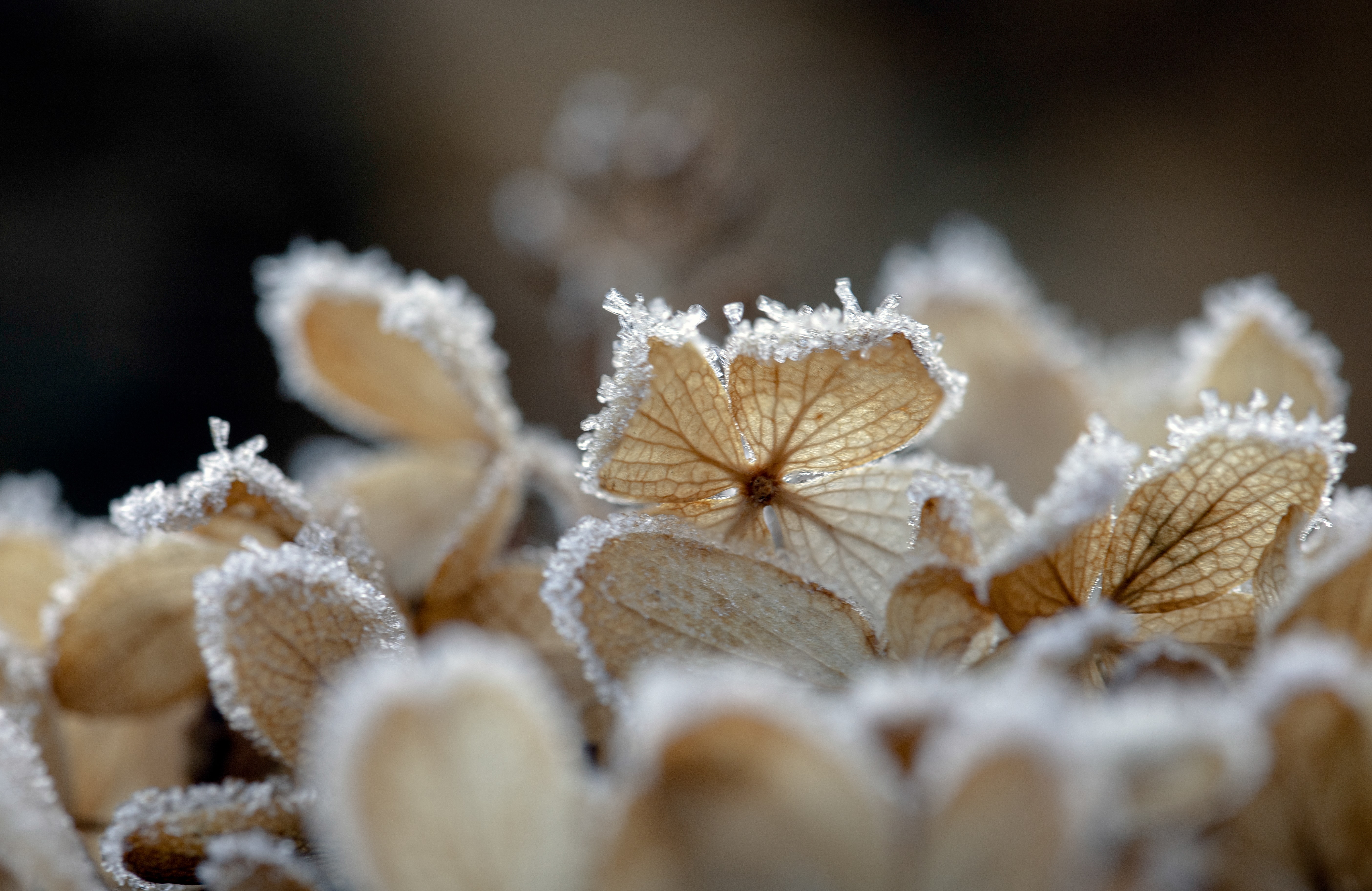 dustin-humes-JqJbuTLwH74-unsplash