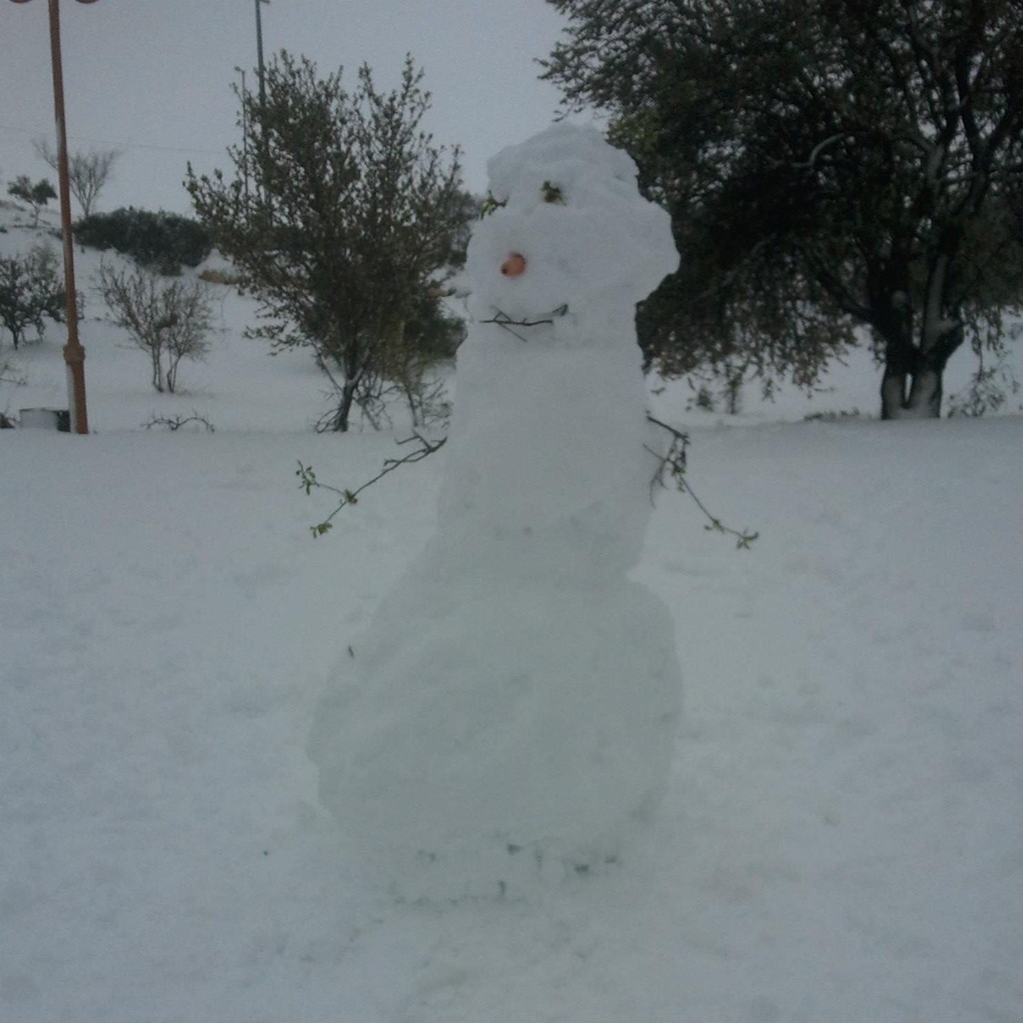 snowtwigman ChagitMoriahGibor (2)