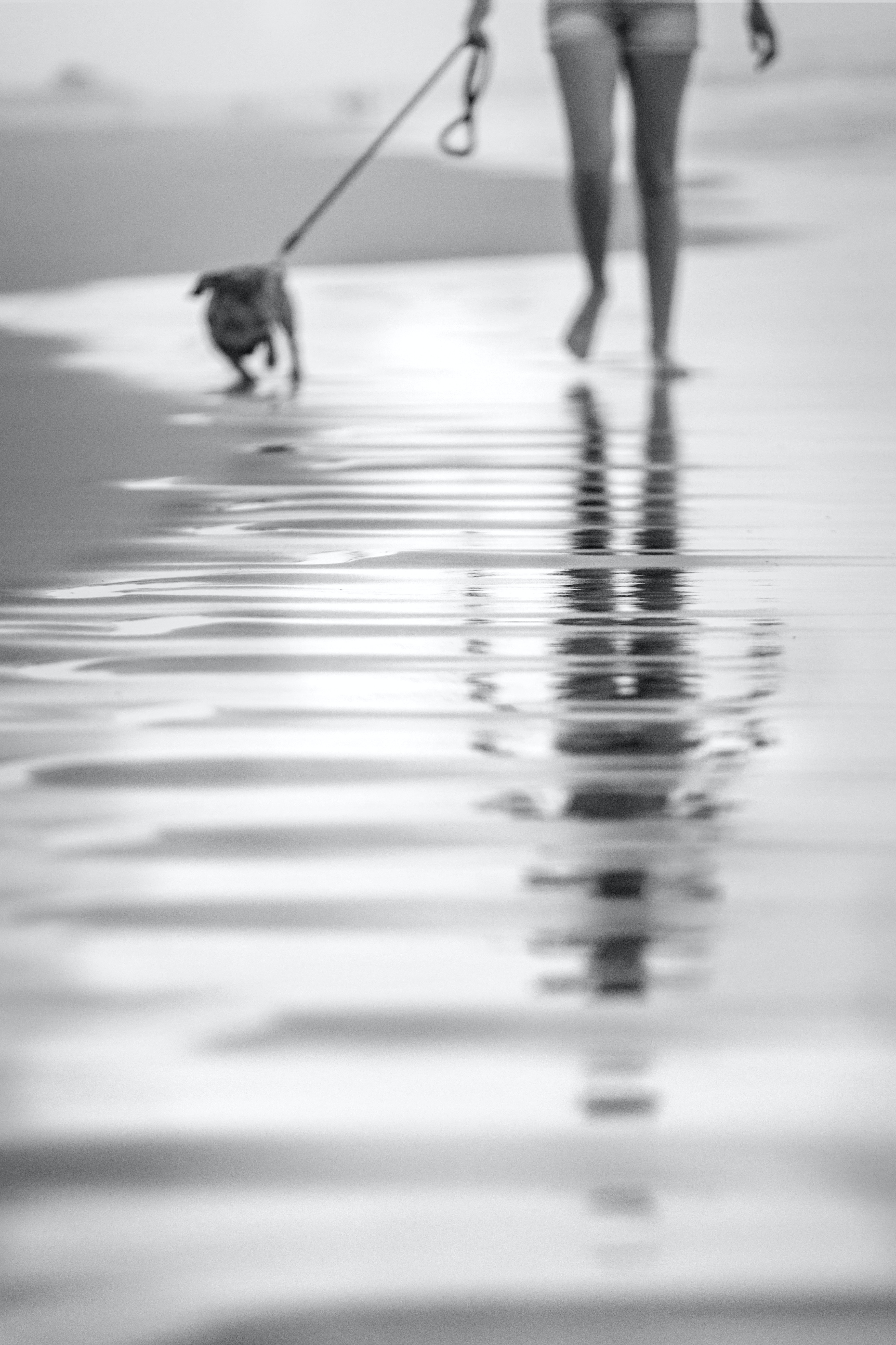 simona-roubkova-UqumEMIYciA-unsplash