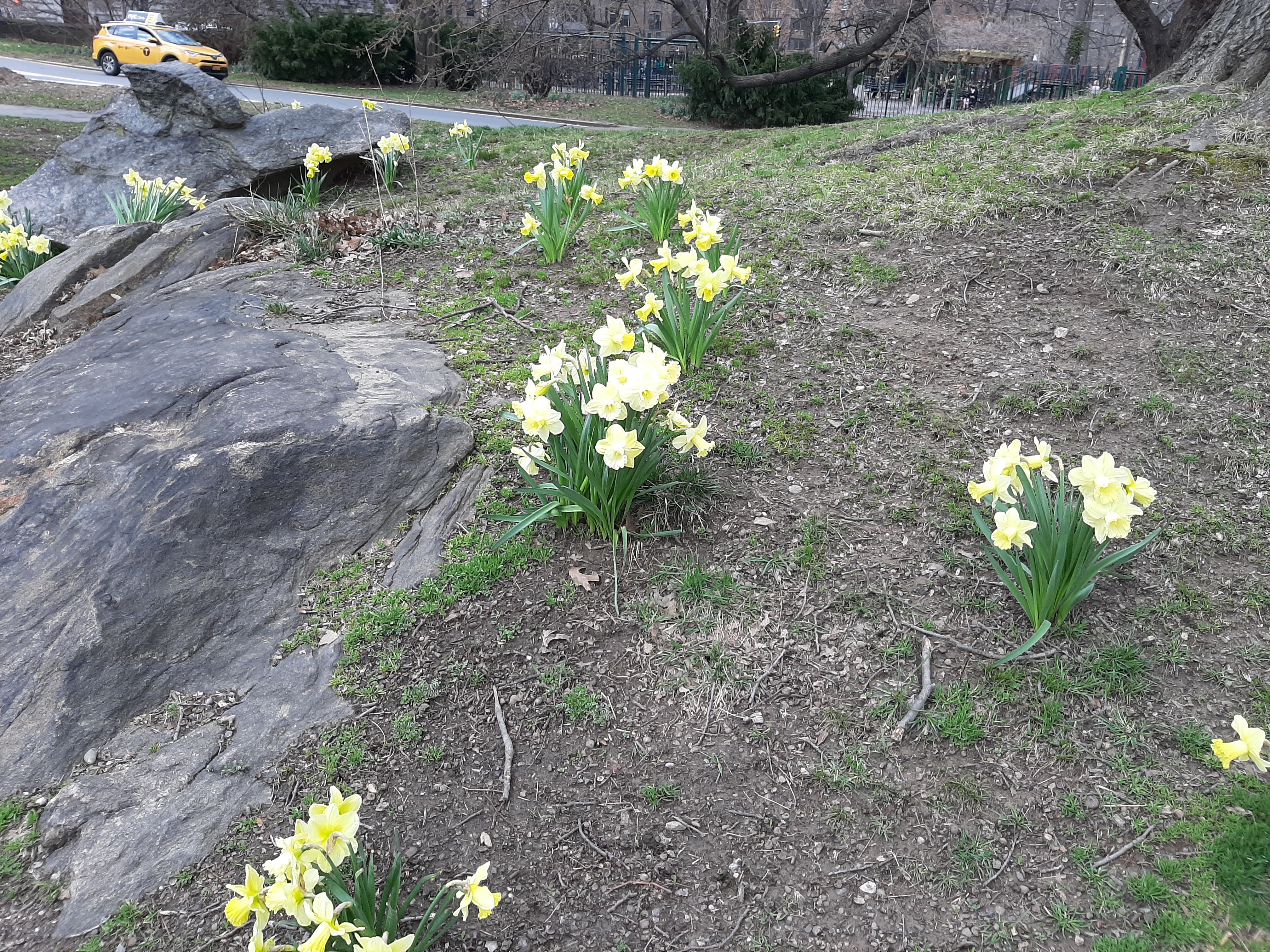 Yonder spring NYC 2021 NYehuda