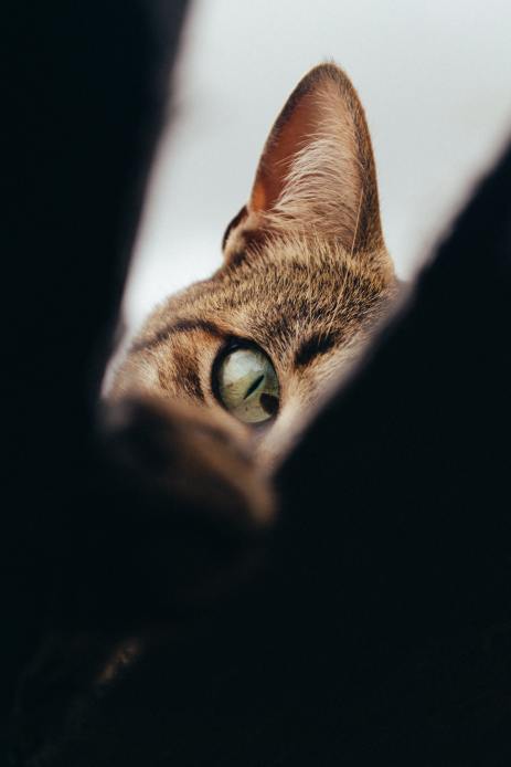 owen-vangioni-ZsSmtgg1U8E-unsplash