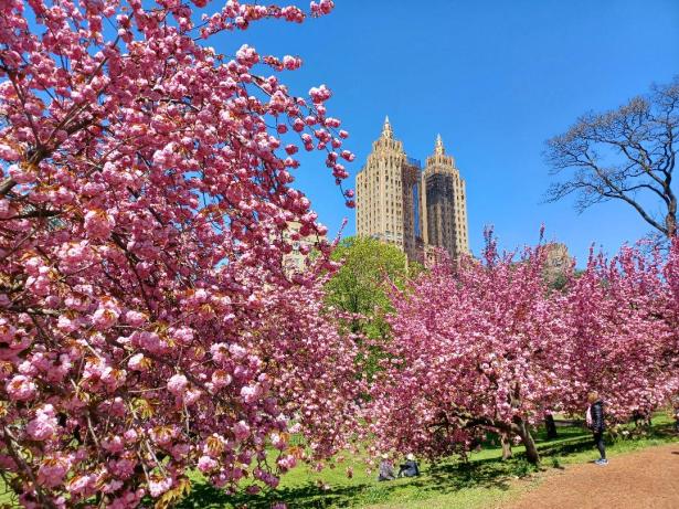 luminous park NaamaYehuda