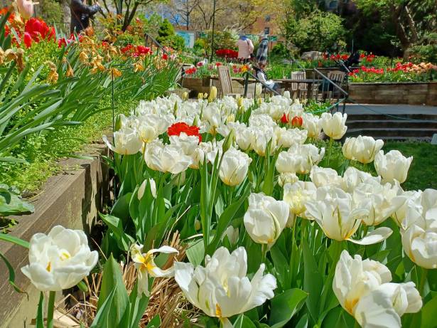 Flowers-NaamaYehuda 2022