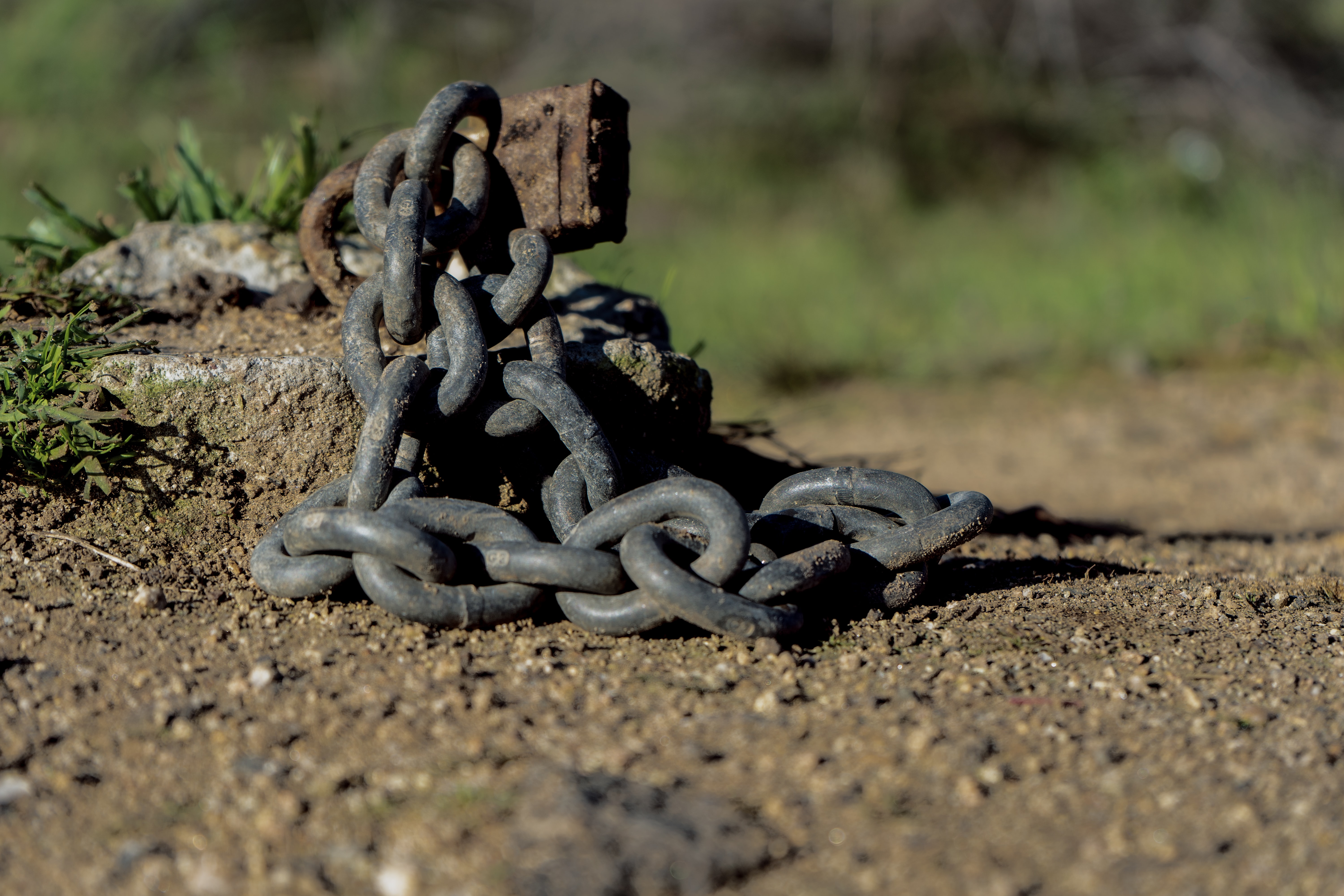 deann-dasilva-0jIg_-j_tTc-unsplash